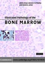 Illustrated Pathology of the Bone Marrow