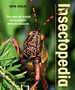 Insectopedia-the Secret World of Southern African Insects