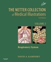 Netter Collection of Medical Illustrations: Respiratory System