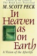 In Heaven as on Earth: a Vision of the Afterlife