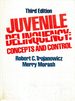 Juvenile Delinquency: Concepts and Control (3rd Edition)