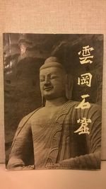 Yungang Grottoes (Chinese Edition)