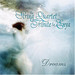 The String Quartet Tribute to Enya: Dreams