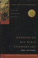 Zondervan NIV Bible Commentary: New Testament Vol 2