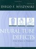 Neural Tube Defects: From Origin to Treatment