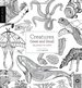 Field Guide: Creatures Great and Small: 35 Prints to Color