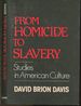 From Homicide to Slavery: Studies in American Culture