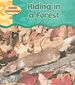 Hiding in a Forest (Paperback) By Patricia Whitehouse