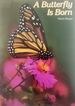 Butterfly is Born (Paperback)