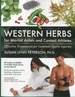 Western Herbs for Martial Artists and Contact Athletes: Effective Treatments for Common Sports Injuries