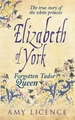 Elizabeth of York: The Forgotten Tudor Queen