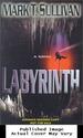 Labyrinth: a Novel