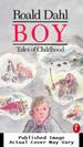 Boy: Tales of Childhood