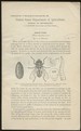 House Flies [United States Department of Agriculture, Circular No. 71 (Revision of Circular No. 35)]