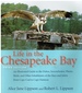 Life in the Chesapeake Bay (Signed)