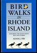 Bird Walks in Rhode Island: Exploring the Ocean State's Best Sanctuaries