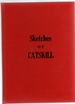 Reminiscences of Catskill Local Sketches
