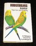 Budgerigars in Colour