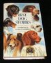 Best Dog Stories