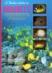 Pocket Guide to Hawaii's Underwater Paradise