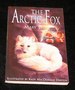 The Artic Fox