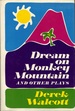 Dream on Monkey Mountain