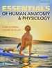 Essentials of Human Anatomy & Physiology