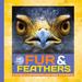 Fur & Feathers: a Close-Up Photographic Look Inside Your World