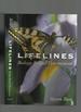 Lifelines; Biology Beyond Determinism