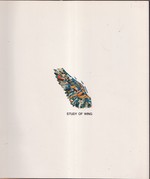 Study of Wing. Chung, Mi-Yong 2nd Solo Exhibition
