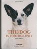 The Dog in Photography 1839€"Today