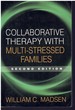 Collaborative Therapy With Multi-Stressed Families, Second Edition