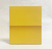 Ellsworth Kelly: Relief Paintings 1954-2001