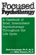 Focused Psychotherapy a Casebook of Brief Intermittent Psychotherapy Throughout the Life Cycle