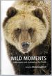 Wild Moments: Adventures with Animals of the North