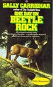 One Day on Beetle Rock