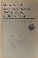 Marine trace fossils in the Upper Jurassic Bluff Sandstone, southeastern Utah: a description of newly discovered trace fossils and their significance