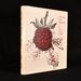 Still Life With Raspberry