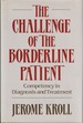 The Challenge of the Borderline Patient: Competency in Diagnosis and Treatment