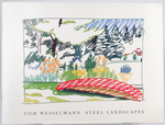 Tom Wesselmann: Steel Landscapes