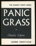 Panic Grass