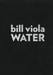 Bill Viola Water