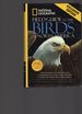 National Geographic Field Guide to the Birds of North America. Fifth Edition