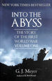 Into the Abyss: the Story of the First World War, Volume One