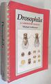 Drosophila: a Laboratory Handbook