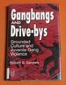 Gangbangs and Drive-Bys: Grounded Culture and Juvenile Gang Violence (Social Problems & Social Issues)