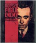 Hoosier Public Enemy a Life of John Dillinger