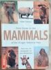 Field Guide to the Mammals of the Kruger National Park (More Than 130 Photographs for Easy Identification)