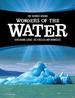 The Science Behind Wonders of the Water: Exploding Lakes, Ice Circles, and Brinicles