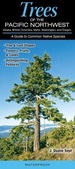 Trees of the Pacific NorthwestAk, Bc, Id, Wa, Or: a Guide to Common and Notable Species